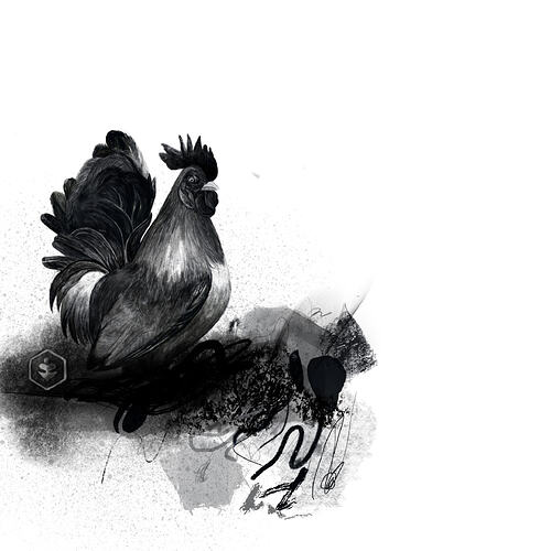 Black Rooster_page-0001